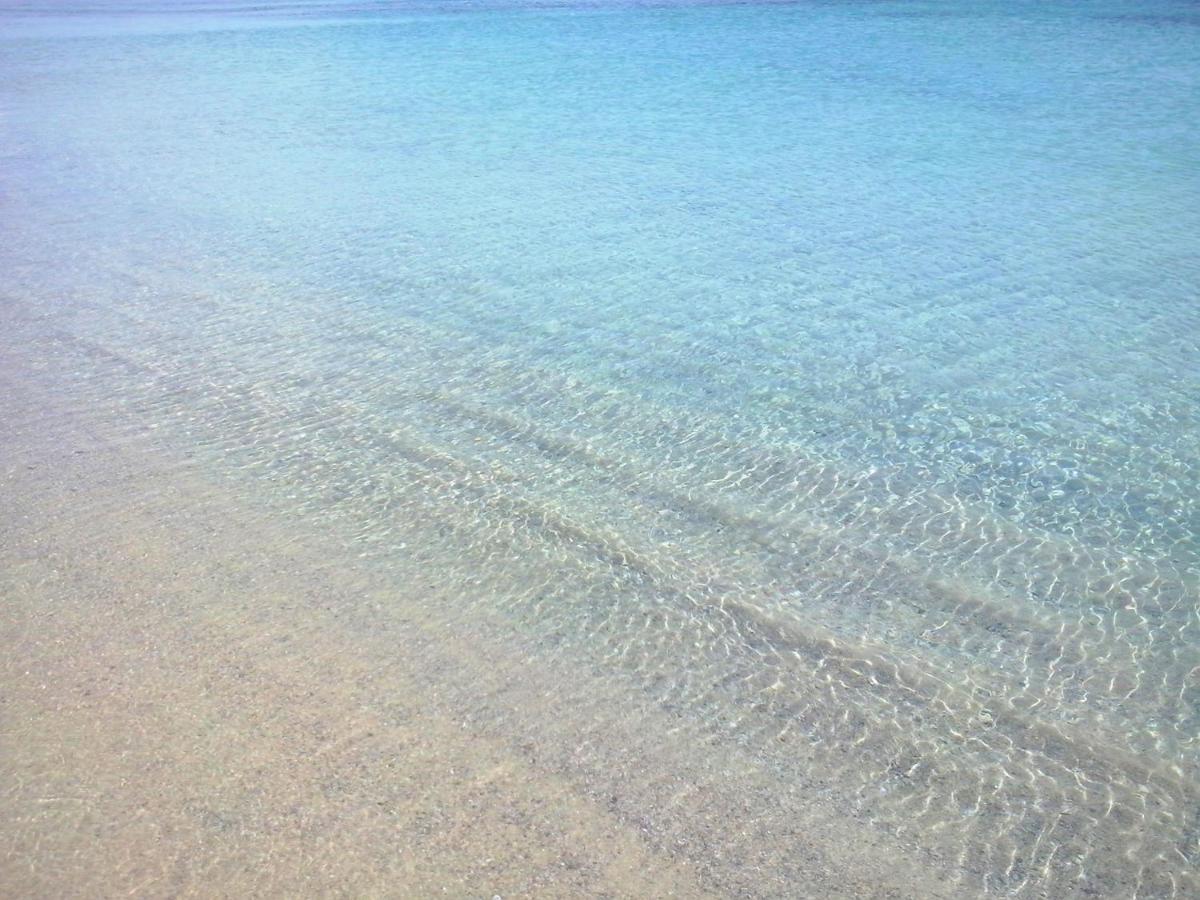 Sea Love *