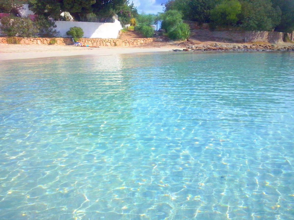 Sea Love